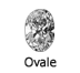 Diamant forme Ovale